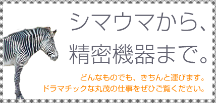 シマウマから精密機器まで。